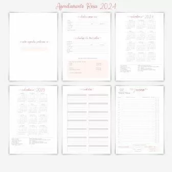 Arquivo Digital Agendamento rosa A5 com 4 capas datado 2024 – Carinas Paper