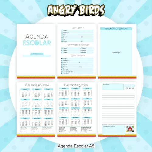 Kit Escolar | Saúde Encadernação 2024 – Angry Birds – Pamella Vieira